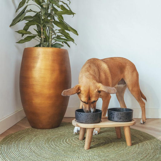 Bowl Set Wolf (Tray + 2 Bowls)