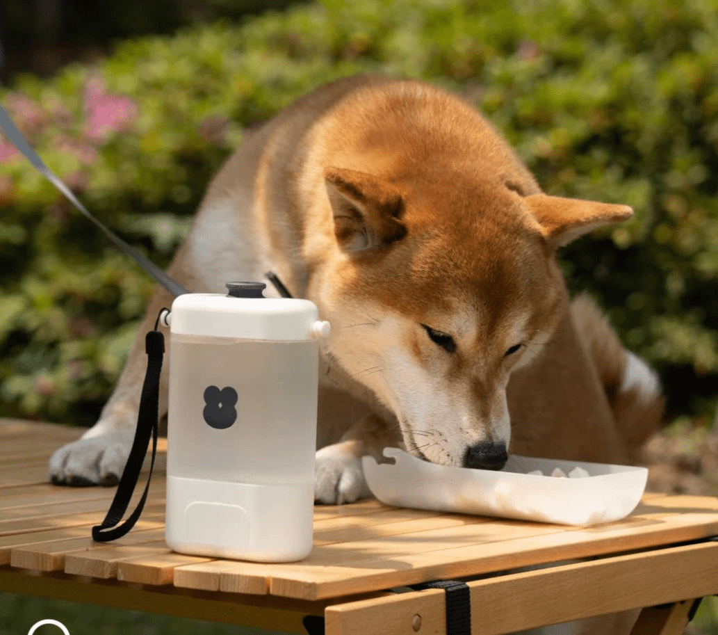 waterfles hond reizen mewoofun voerbak onderweg