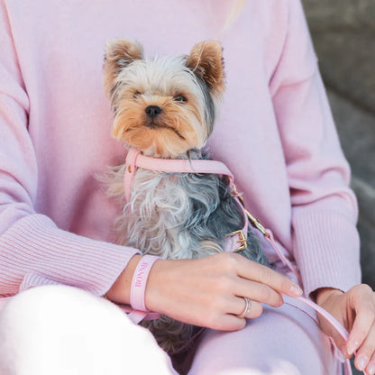 Harness Kleine Honden