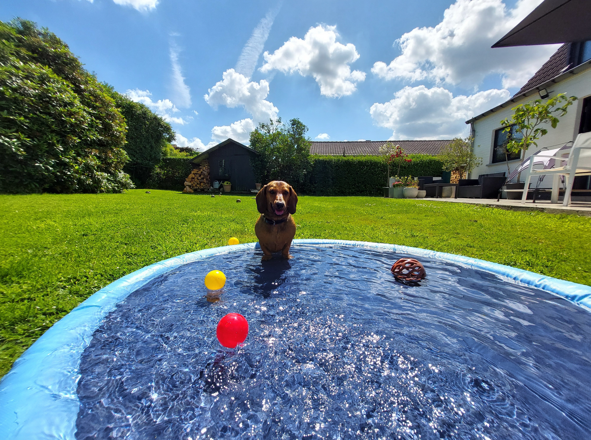 honden waterspeelmat