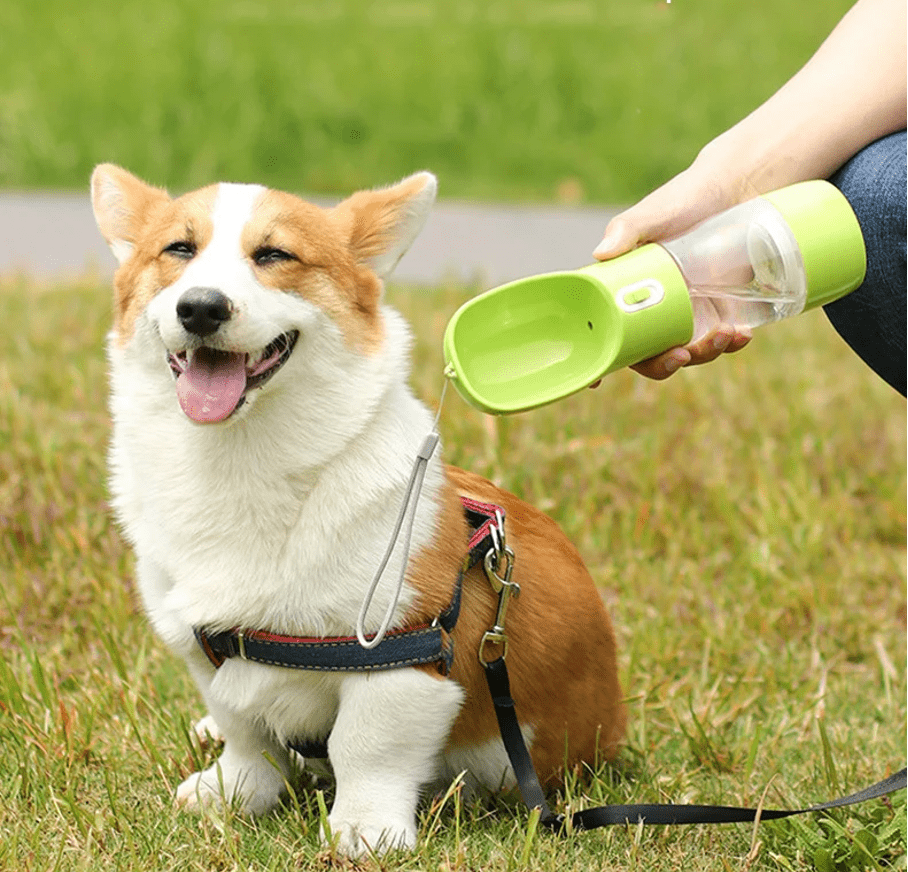 honden drinkfles en voerbak, voerbak voor onderweg, rezien met hond, drinkfles hond