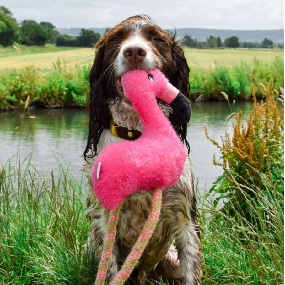 hondenspeeltje flamingo touw