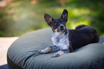 LUNA LOUNGE SET Oxford Honden- en kattenbed