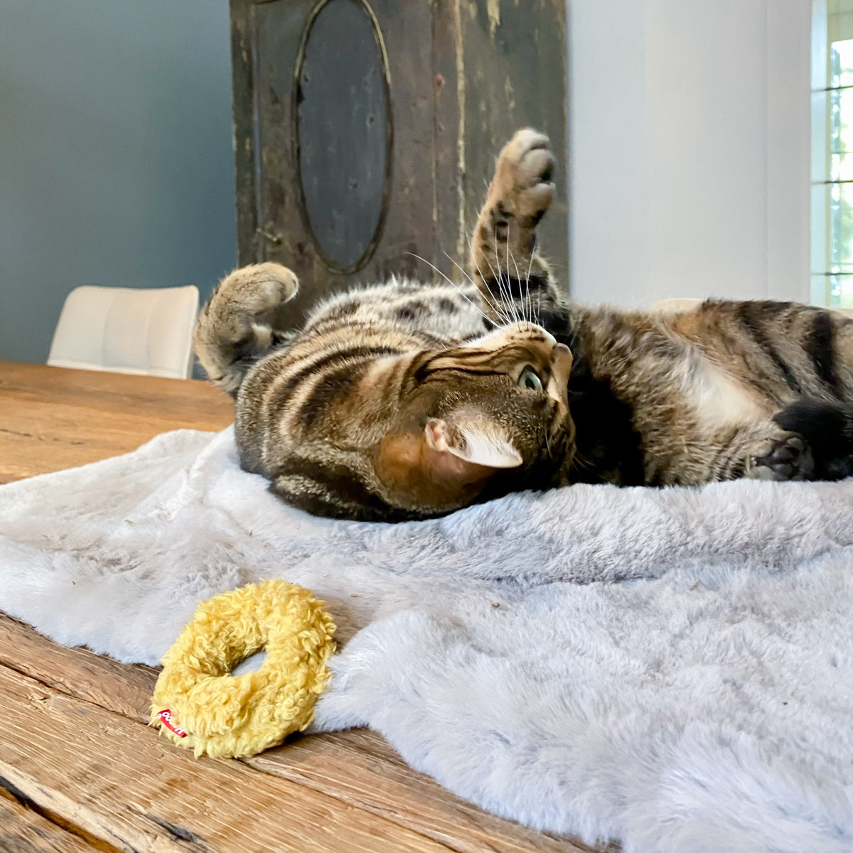 kattenspeeltje mini donut hoopo