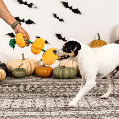 Halloween Pluche Pompoen Hondenspeeltje