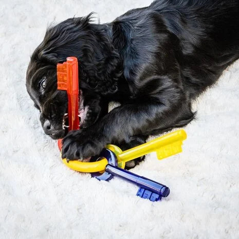 Puppy Tandjes Kauw Speelgoed