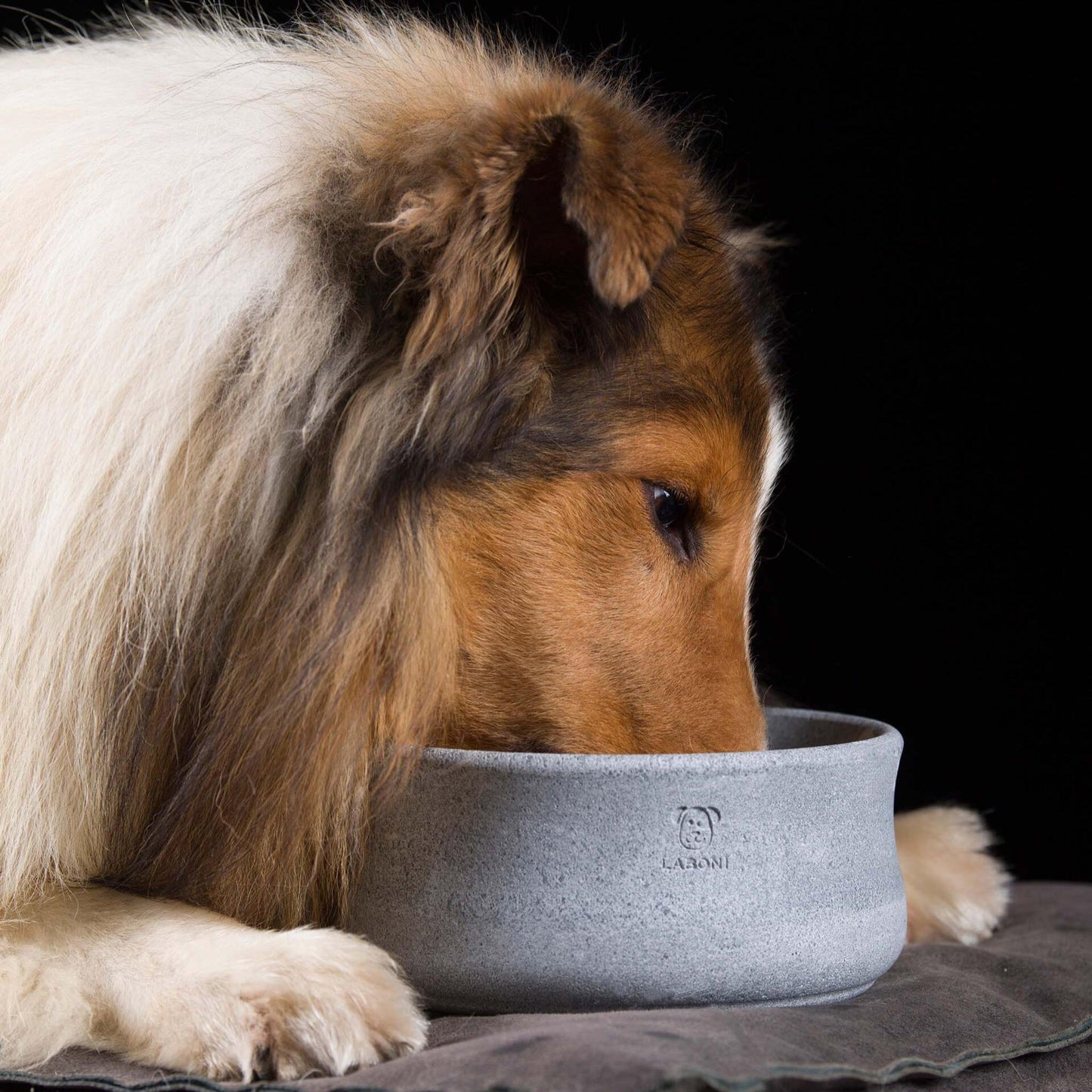 ROCKY Voer- en Drinkbak Honden en Katten