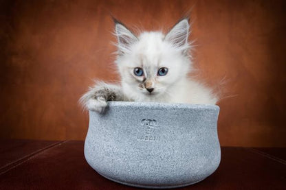 ROCKY Voer- en Drinkbak Honden en Katten