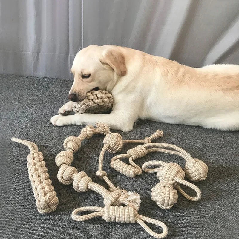 trektouw hond, neutrale kleuren speelgoed hond, tandreiniging hond speeltje