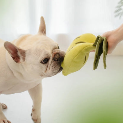 snuffelspel groentemand hond