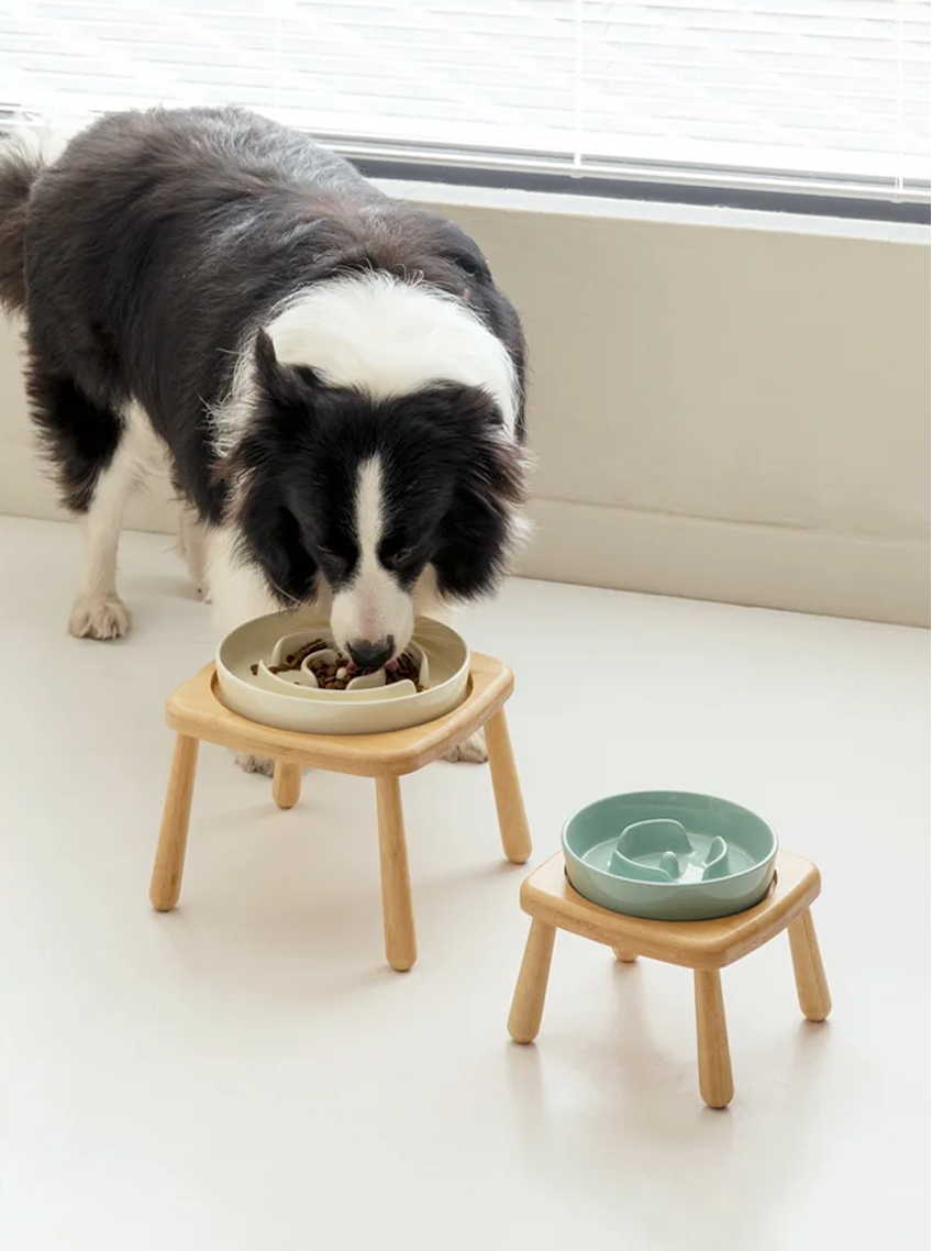 slow feeder hond 