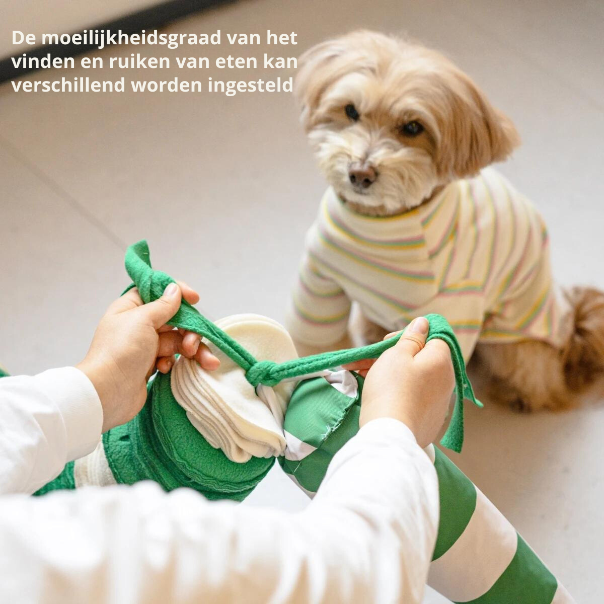 Snuffelslang Hond Interactief Groen Luxe