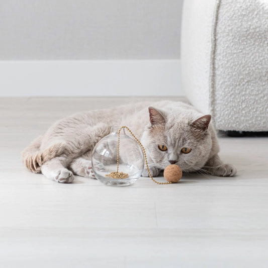 katten tail speeltje, kattenspeelgoed, galzen bol, koortje bolletje