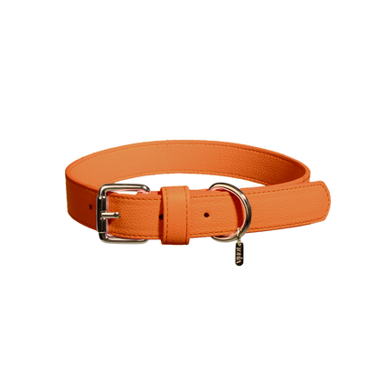 Oranje Hondenhalsband