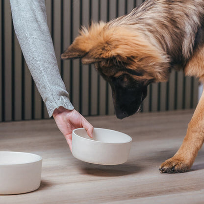 Fennec Bowl