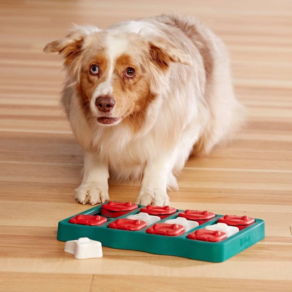 Outward Honden Snuffelspel Puzzel Level 2